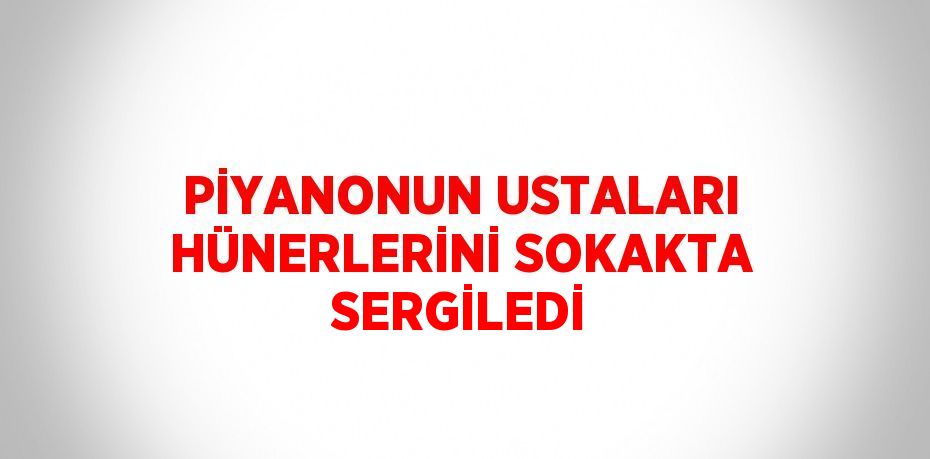 PİYANONUN USTALARI HÜNERLERİNİ SOKAKTA SERGİLEDİ