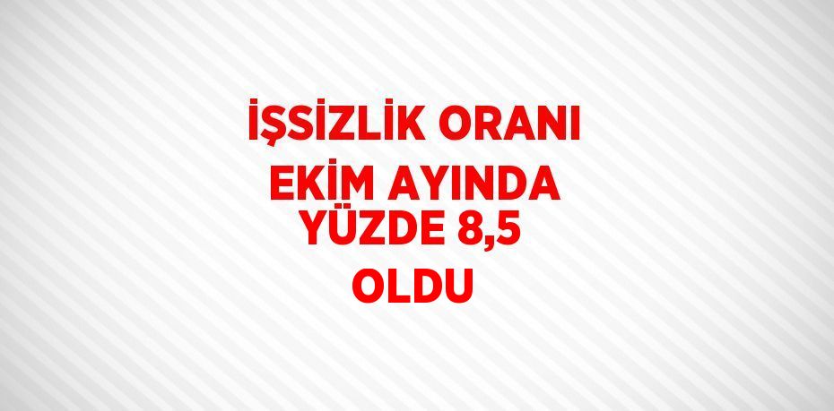 İŞSİZLİK ORANI EKİM AYINDA YÜZDE 8,5 OLDU