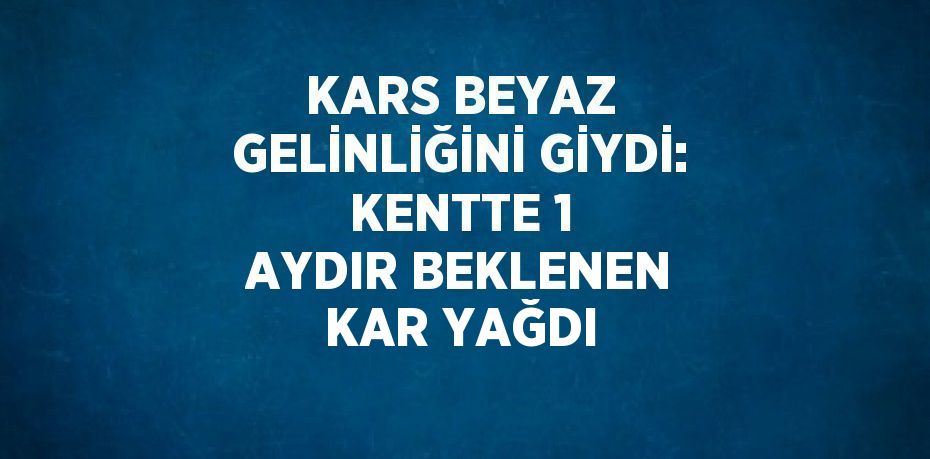 KARS BEYAZ GELİNLİĞİNİ GİYDİ: KENTTE 1 AYDIR BEKLENEN KAR YAĞDI