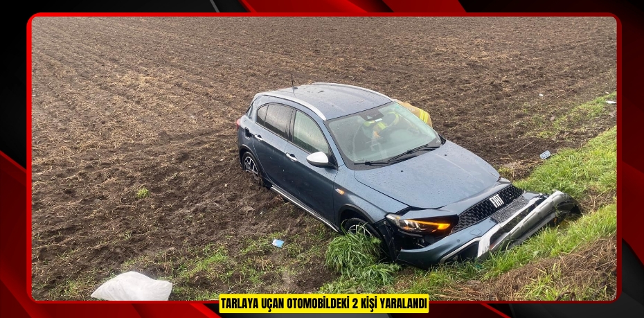 Tarlaya uçan otomobildeki 2 kişi yaralandı