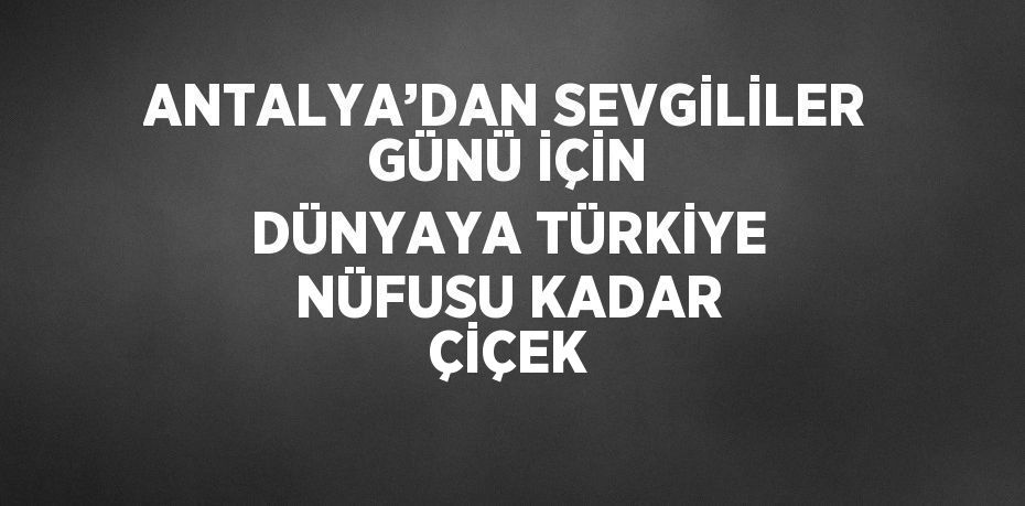 ANTALYA’DAN SEVGİLİLER GÜNÜ İÇİN DÜNYAYA TÜRKİYE NÜFUSU KADAR ÇİÇEK