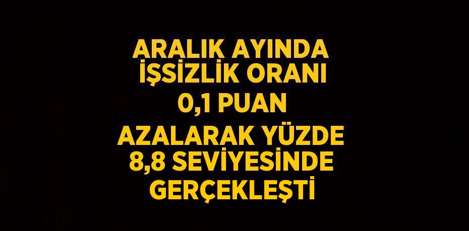 ARALIK AYINDA İŞSİZLİK ORANI 0,1 PUAN AZALARAK YÜZDE 8,8 SEVİYESİNDE GERÇEKLEŞTİ