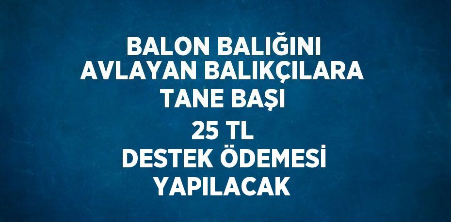 BALON BALIĞINI AVLAYAN BALIKÇILARA TANE BAŞI 25 TL DESTEK ÖDEMESİ YAPILACAK
