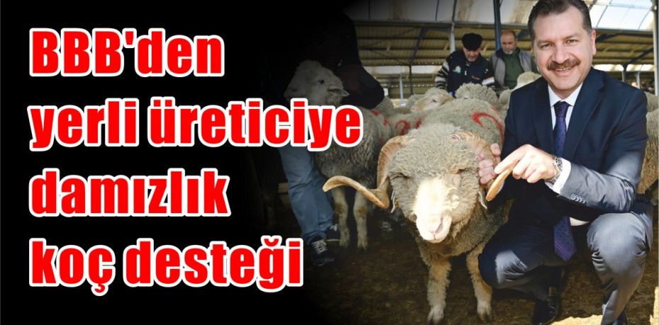 BBB’den yerli üreticiye damızlık koç desteği