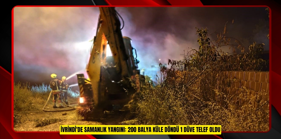 İvrindi'de samanlık yangını: 200 balya küle döndü 1 düve telef oldu