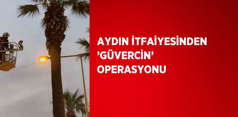AYDIN İTFAİYESİNDEN ’GÜVERCİN’ OPERASYONU