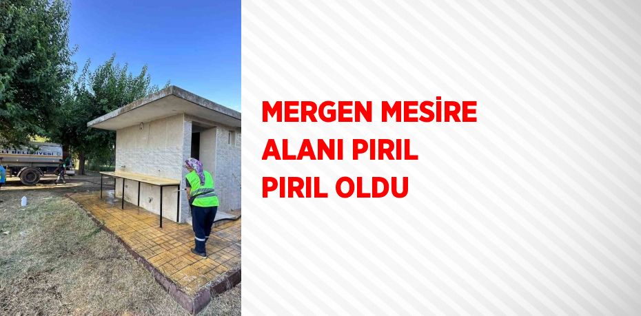MERGEN MESİRE ALANI PIRIL PIRIL OLDU