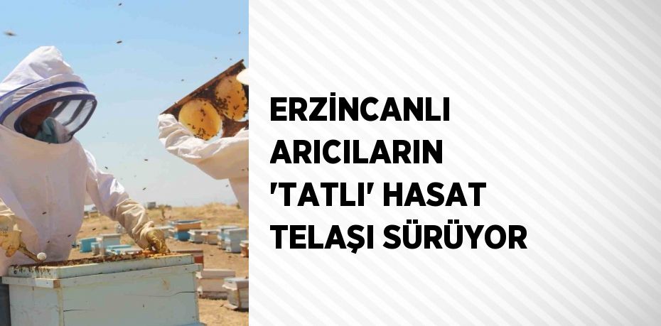 ERZİNCANLI ARICILARIN 'TATLI' HASAT TELAŞI SÜRÜYOR