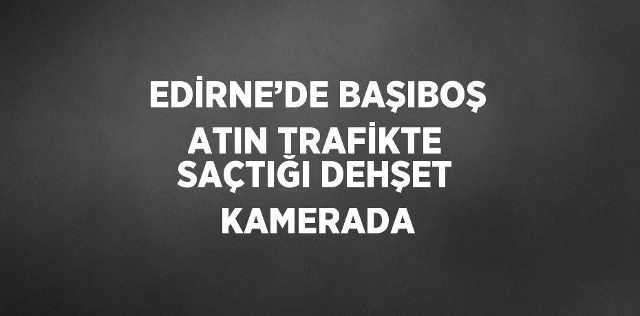 EDİRNE’DE BAŞIBOŞ ATIN TRAFİKTE SAÇTIĞI DEHŞET KAMERADA
