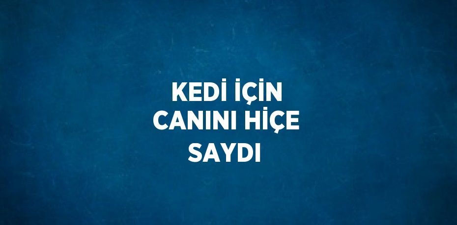 KEDİ İÇİN CANINI HİÇE SAYDI