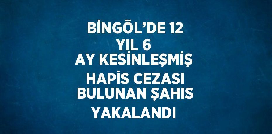 BİNGÖL’DE 12 YIL 6 AY KESİNLEŞMİŞ HAPİS CEZASI BULUNAN ŞAHIS YAKALANDI
