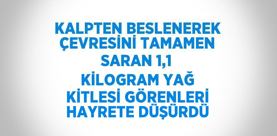 KALPTEN BESLENEREK ÇEVRESİNİ TAMAMEN SARAN 1,1 KİLOGRAM YAĞ KİTLESİ GÖRENLERİ HAYRETE DÜŞÜRDÜ