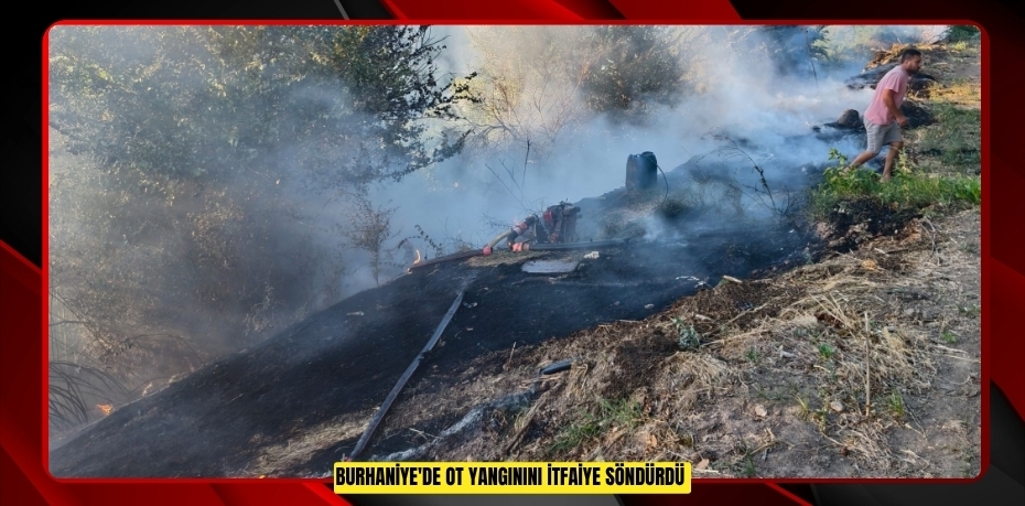 Burhaniye'de ot yangınını itfaiye söndürdü