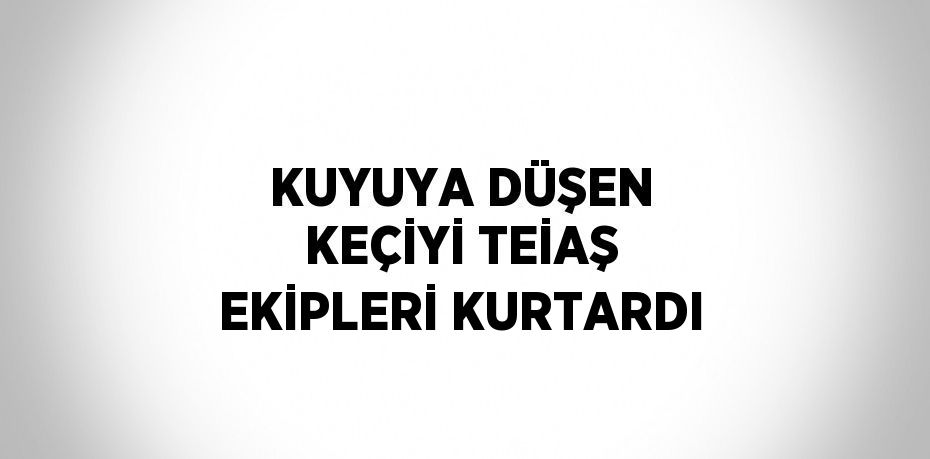 KUYUYA DÜŞEN KEÇİYİ TEİAŞ EKİPLERİ KURTARDI