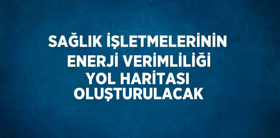 SAĞLIK İŞLETMELERİNİN ENERJİ VERİMLİLİĞİ YOL HARİTASI OLUŞTURULACAK