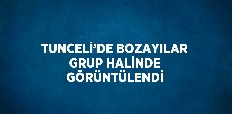 TUNCELİ’DE BOZAYILAR GRUP HALİNDE GÖRÜNTÜLENDİ