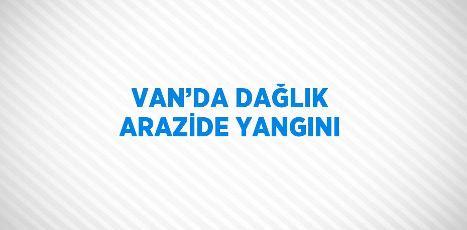 VAN’DA DAĞLIK ARAZİDE YANGINI