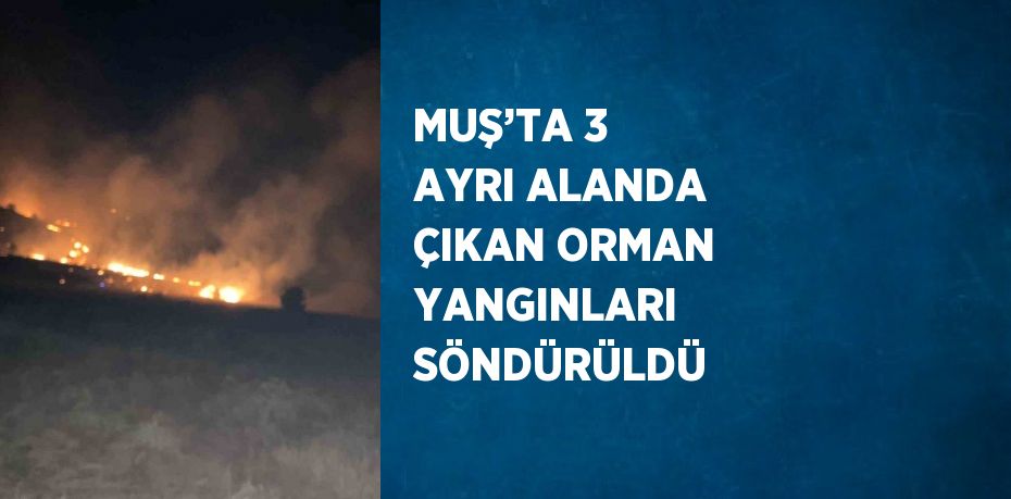 MUŞ’TA 3 AYRI ALANDA ÇIKAN ORMAN YANGINLARI SÖNDÜRÜLDÜ
