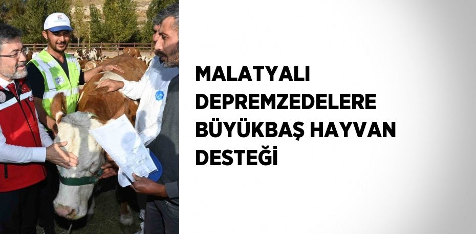 MALATYALI DEPREMZEDELERE BÜYÜKBAŞ HAYVAN DESTEĞİ