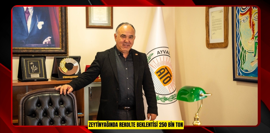 Zeytinyağında rekolte beklentisi 250 bin ton