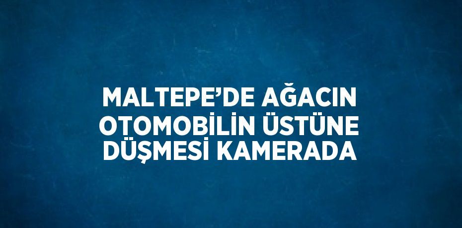 MALTEPE’DE AĞACIN OTOMOBİLİN ÜSTÜNE DÜŞMESİ KAMERADA