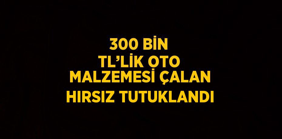300 BİN TL’LİK OTO MALZEMESİ ÇALAN HIRSIZ TUTUKLANDI
