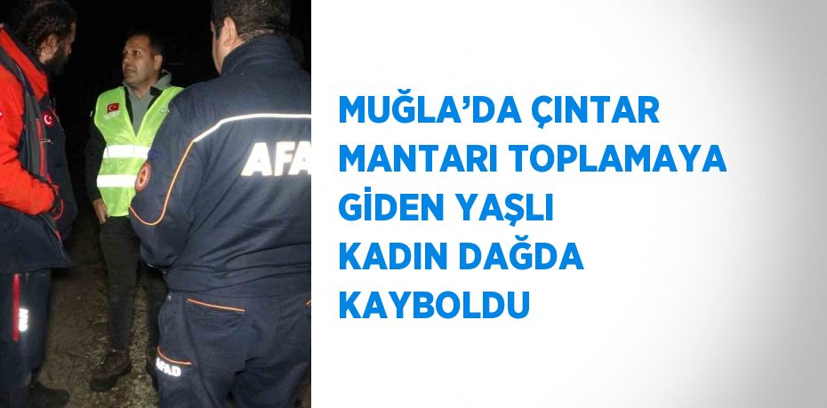 MUĞLA’DA ÇINTAR MANTARI TOPLAMAYA GİDEN YAŞLI KADIN DAĞDA KAYBOLDU