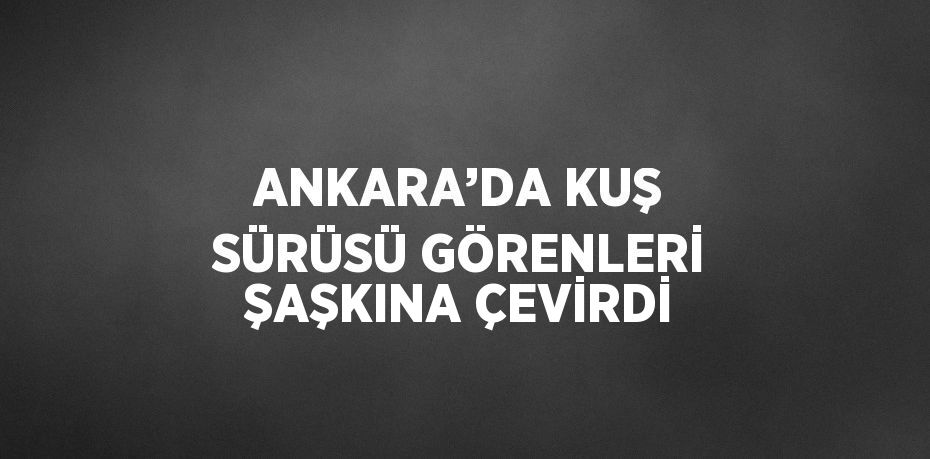 ANKARA’DA KUŞ SÜRÜSÜ GÖRENLERİ ŞAŞKINA ÇEVİRDİ