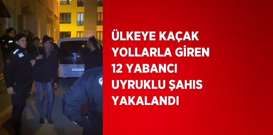ÜLKEYE KAÇAK YOLLARLA GİREN 12 YABANCI UYRUKLU ŞAHIS YAKALANDI