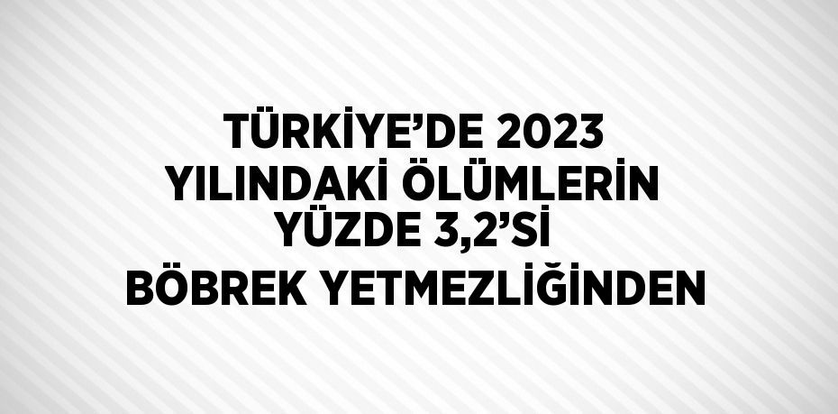 TÜRKİYE’DE 2023 YILINDAKİ ÖLÜMLERİN YÜZDE 3,2’Sİ BÖBREK YETMEZLİĞİNDEN