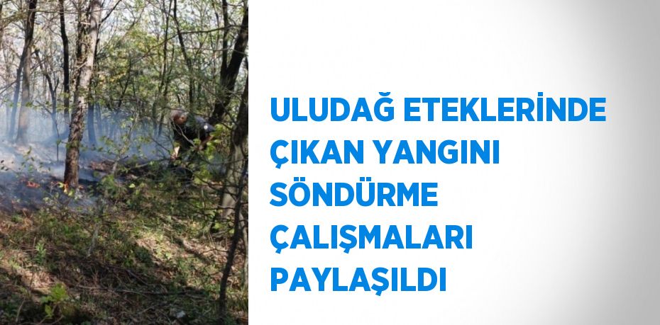 ULUDAĞ ETEKLERİNDE ÇIKAN YANGINI SÖNDÜRME ÇALIŞMALARI PAYLAŞILDI