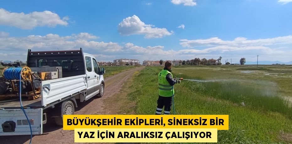 Büyükşehir ekipleri, sineksiz bir yaz için aralıksız çalışıyor