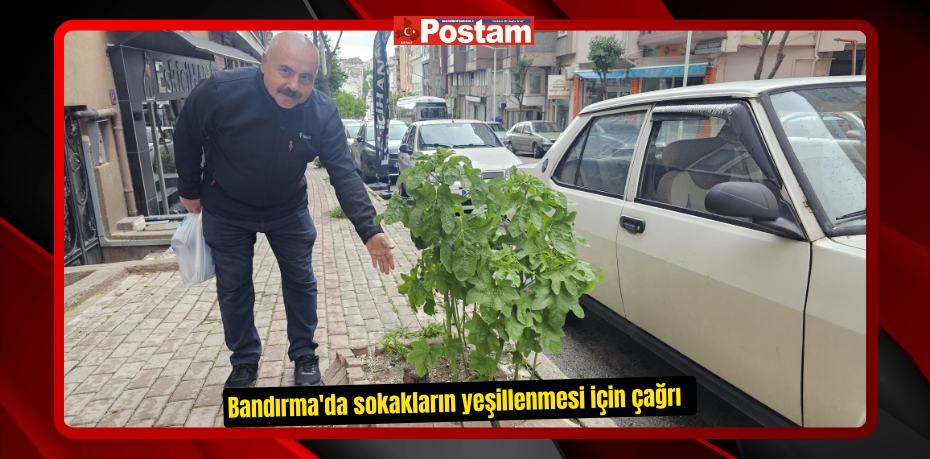 Bandırma'da sokakların yeşillenmesi için çağrı  