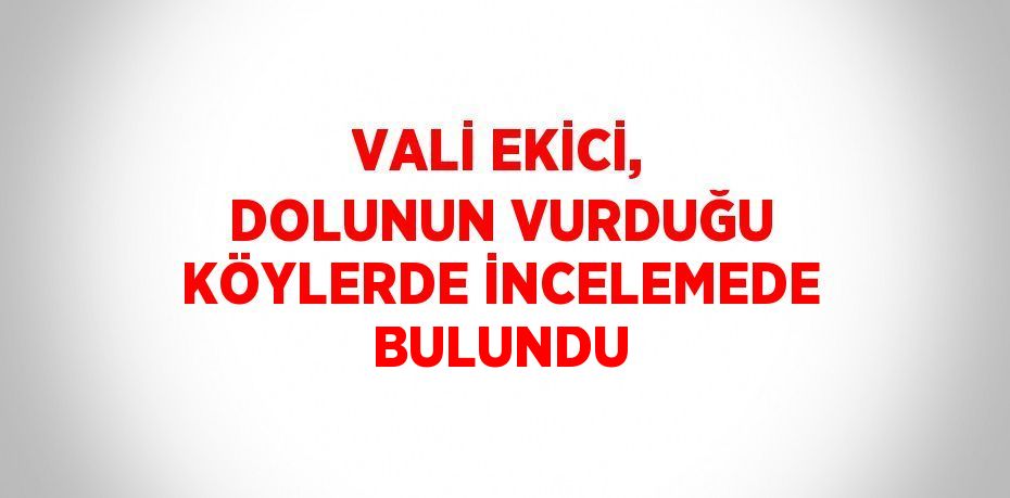 VALİ EKİCİ, DOLUNUN VURDUĞU KÖYLERDE İNCELEMEDE BULUNDU