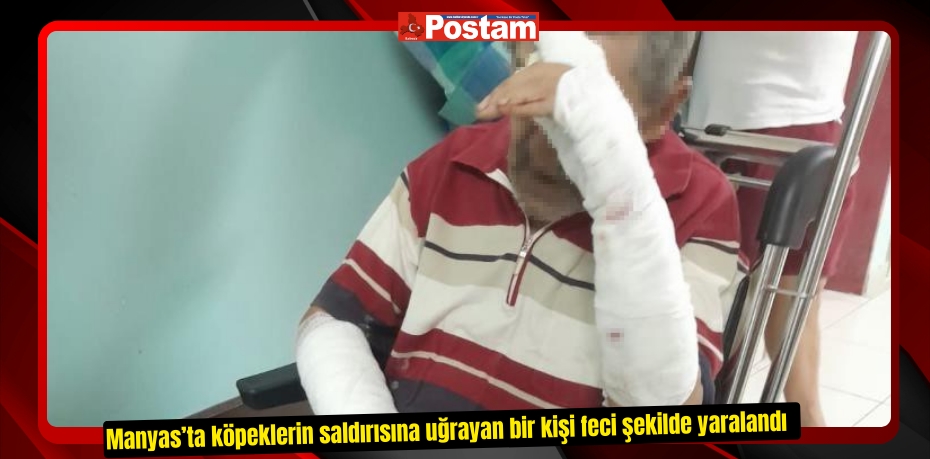 Manyas’ta köpeklerin saldırısına uğrayan bir kişi feci şekilde yaralandı