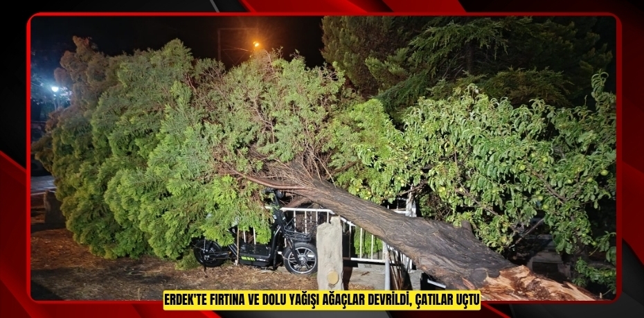 Erdek'te fırtına ve dolu yağışı: Ağaçlar devrildi, çatılar uçtu