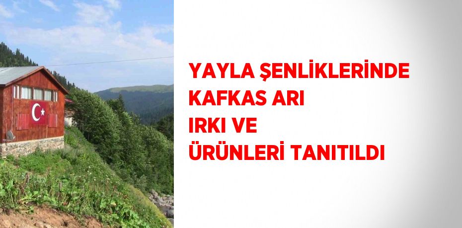 YAYLA ŞENLİKLERİNDE KAFKAS ARI IRKI VE ÜRÜNLERİ TANITILDI