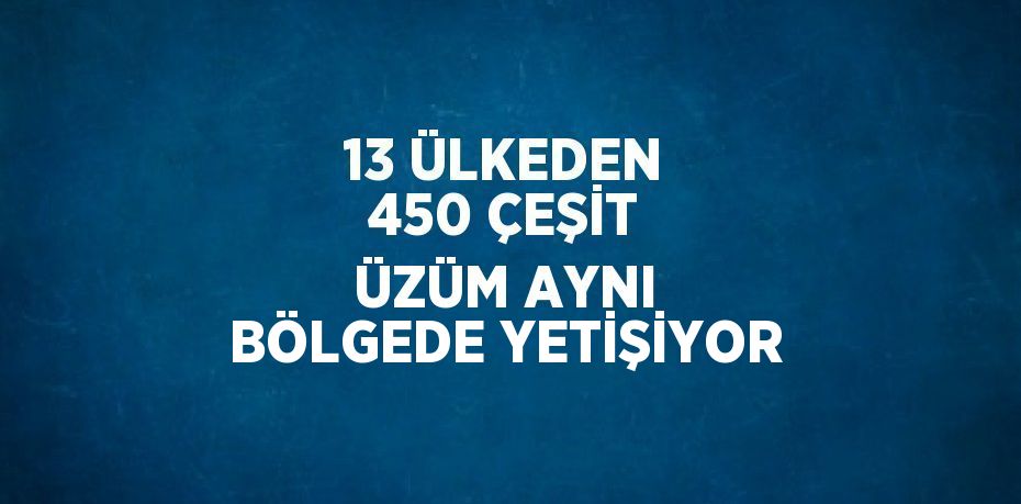 13 ÜLKEDEN 450 ÇEŞİT ÜZÜM AYNI BÖLGEDE YETİŞİYOR