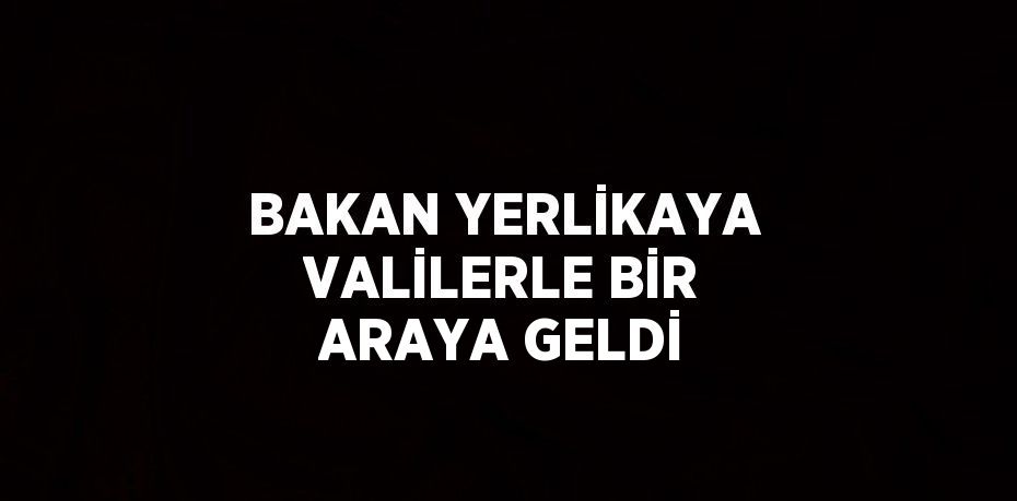 BAKAN YERLİKAYA VALİLERLE BİR ARAYA GELDİ
