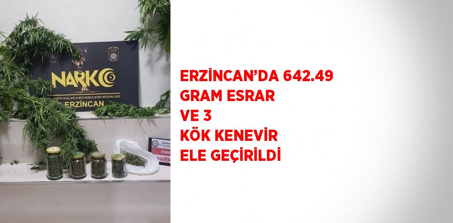 ERZİNCAN’DA 642.49 GRAM ESRAR VE 3 KÖK KENEVİR ELE GEÇİRİLDİ