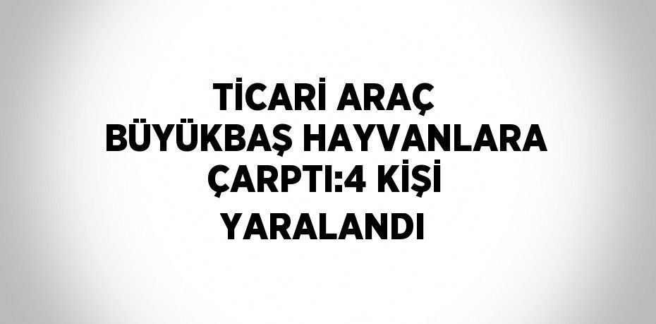 TİCARİ ARAÇ BÜYÜKBAŞ HAYVANLARA ÇARPTI:4 KİŞİ YARALANDI