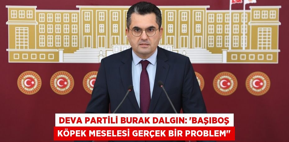 DEVA PARTİLİ BURAK DALGIN: “Başıboş köpek meselesi gerçek bir problem"