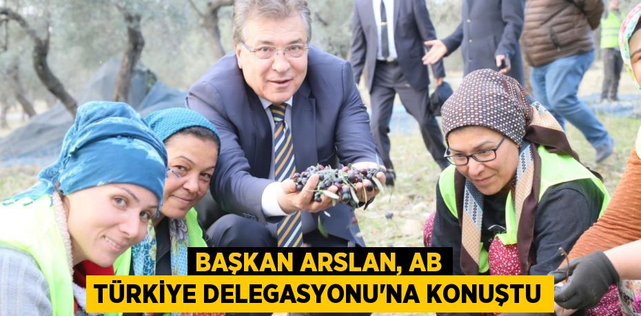 Başkan Arslan, AB Türkiye Delegasyonu’na konuştu