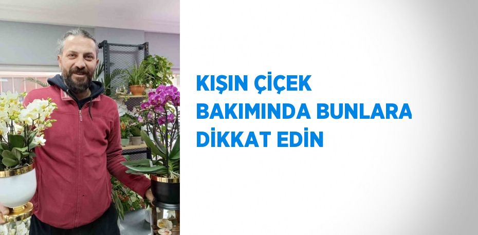 KIŞIN ÇİÇEK BAKIMINDA BUNLARA DİKKAT EDİN