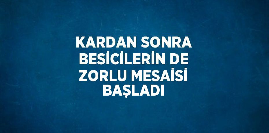 KARDAN SONRA BESİCİLERİN DE ZORLU MESAİSİ BAŞLADI