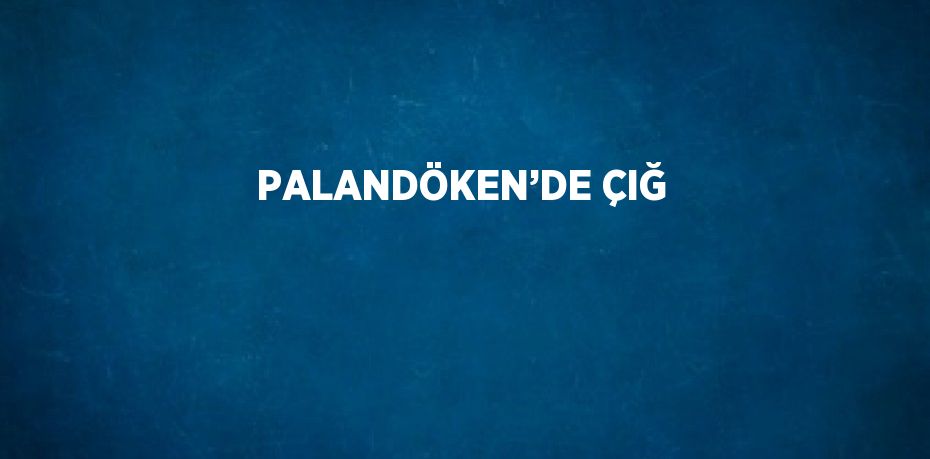 PALANDÖKEN’DE ÇIĞ