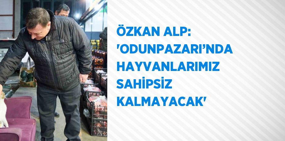 ÖZKAN ALP: 'ODUNPAZARI’NDA HAYVANLARIMIZ SAHİPSİZ KALMAYACAK'