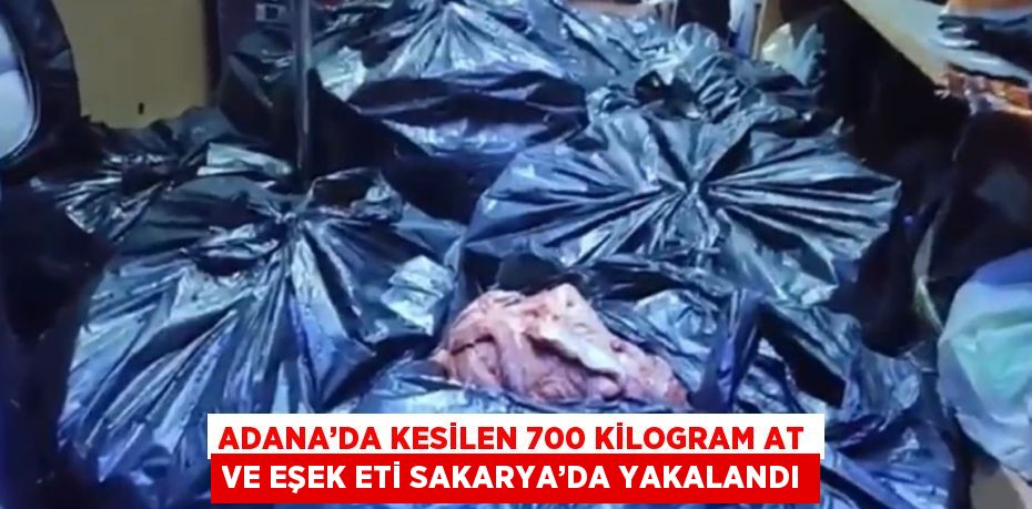 ADANA’DA KESİLEN 700 KİLOGRAM AT VE EŞEK ETİ SAKARYA’DA YAKALANDI
