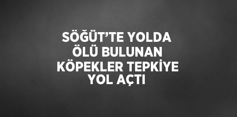 SÖĞÜT’TE YOLDA ÖLÜ BULUNAN KÖPEKLER TEPKİYE YOL AÇTI