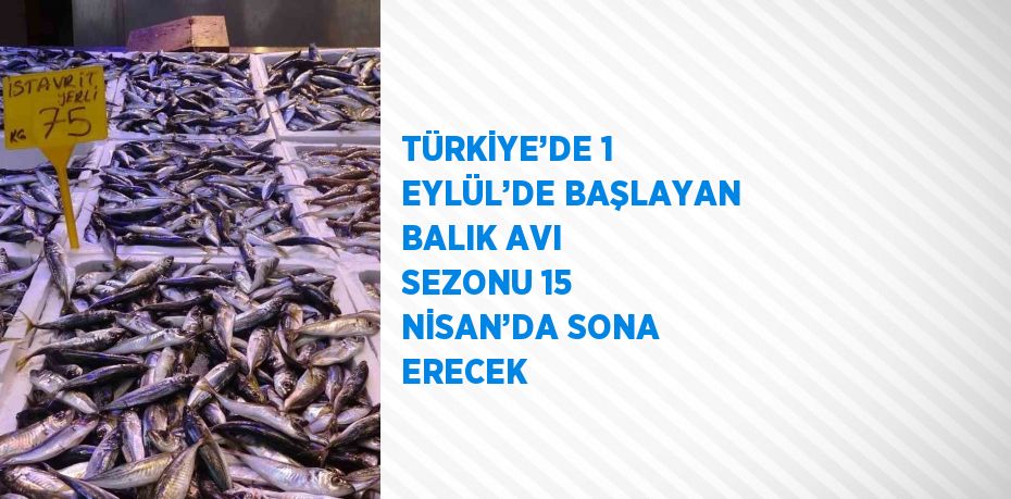 TÜRKİYE’DE 1 EYLÜL’DE BAŞLAYAN BALIK AVI SEZONU 15 NİSAN’DA SONA ERECEK
